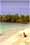 Beach Comber
