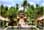 Balinese Show